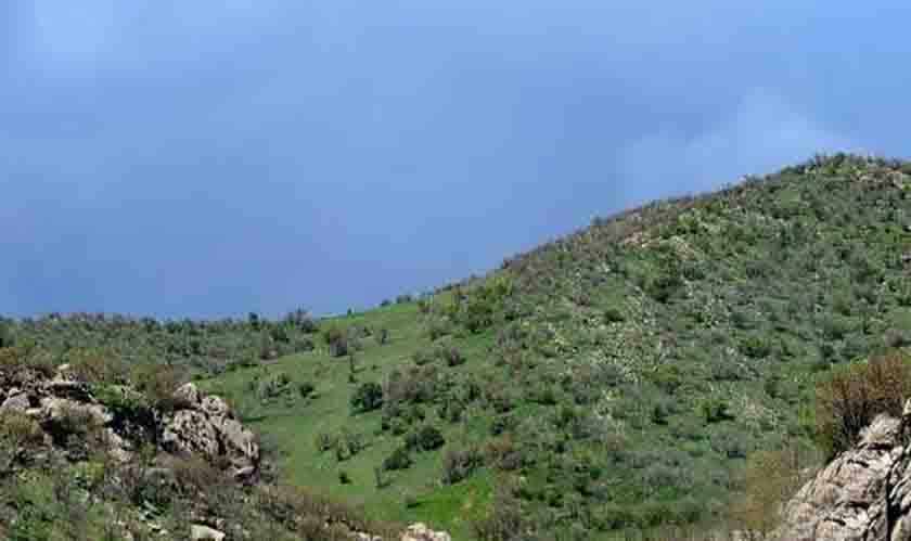 تپه تیانه