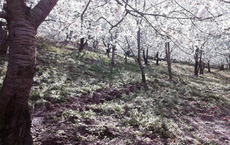 دره ناصر آباد تهران 