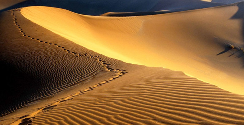 کویر ریگ جن کویر ریگ جن