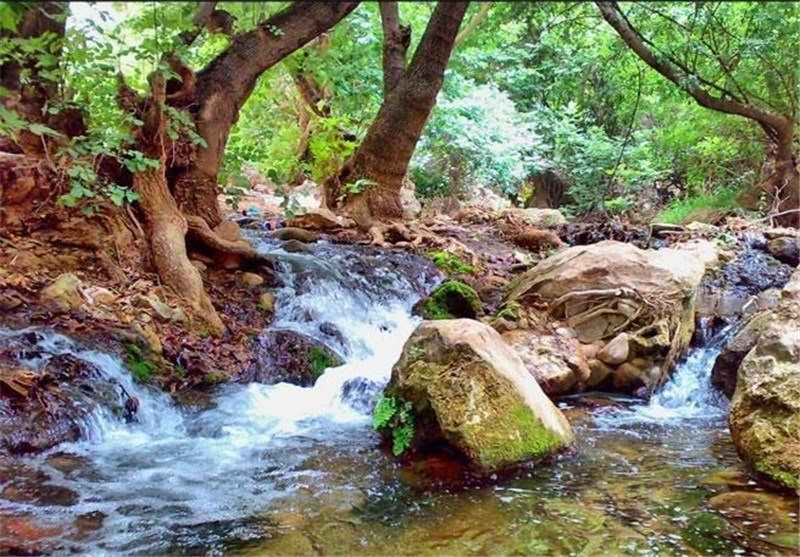 آبشار شیرز آبشار شیرز آبشار شیرز