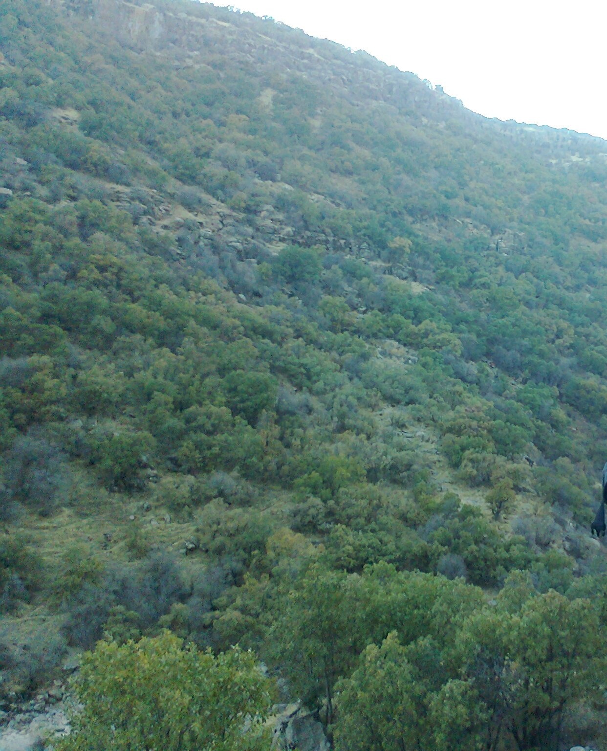 آبشار نای انگیز خرم آباد