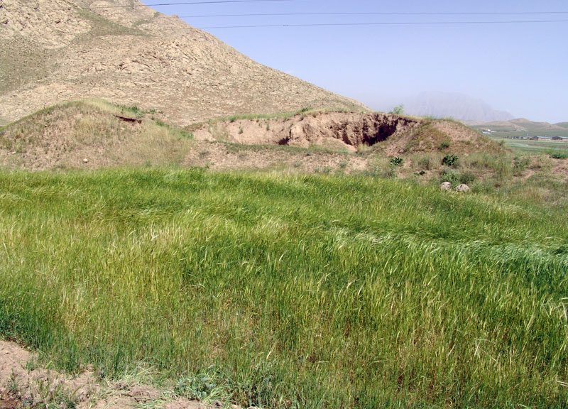 تپه باستانی گنج دره گنج دره 4 تپه باستانی گنج دره