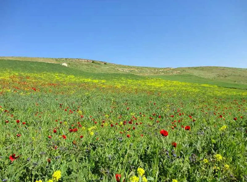 شهر سرعین شهر سرعین
