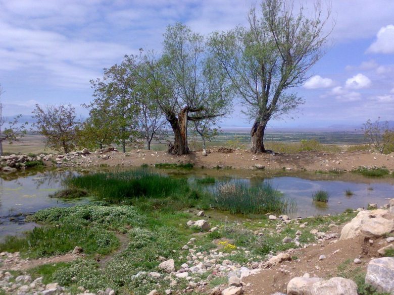 جاهای دیدنی شهر تسوج جاهای دیدنی شهر تسوج