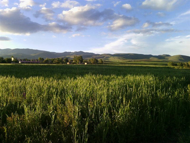 جاهای دیدنی شهر بستان آباد