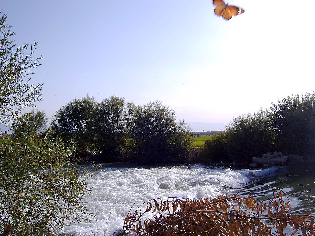 زرین شهر