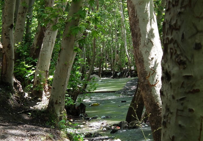 روستای نغندر نغندر