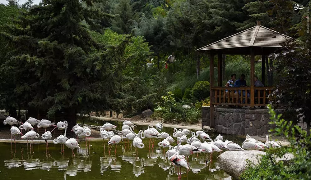 باغ پرندگان تهران