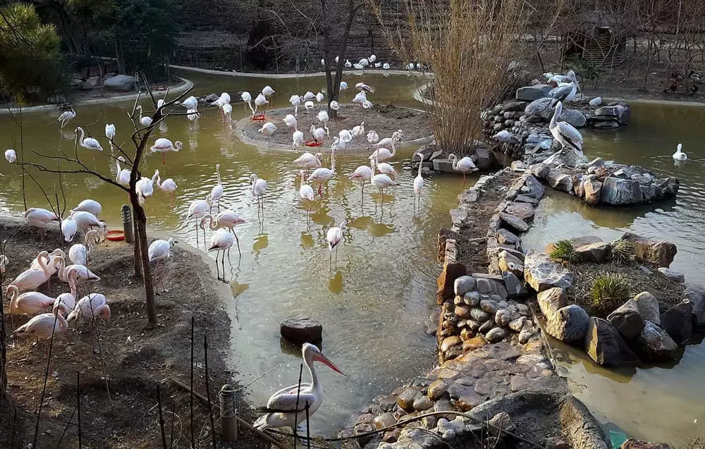 باغ پرندگان تهران