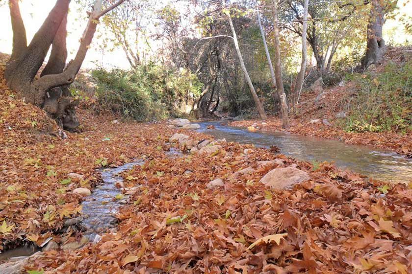تنگ گنجه ای یاسوج