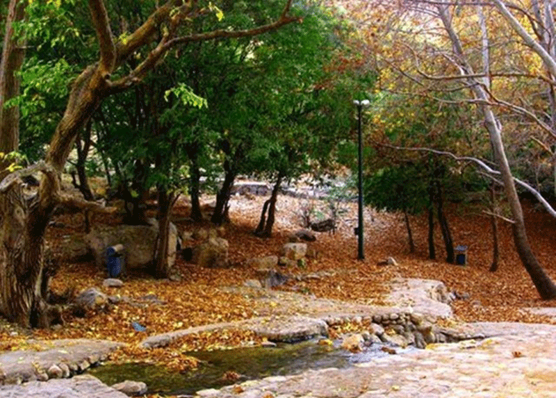 تنگ گنجه ای یاسوج