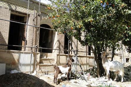 خانه معزی
