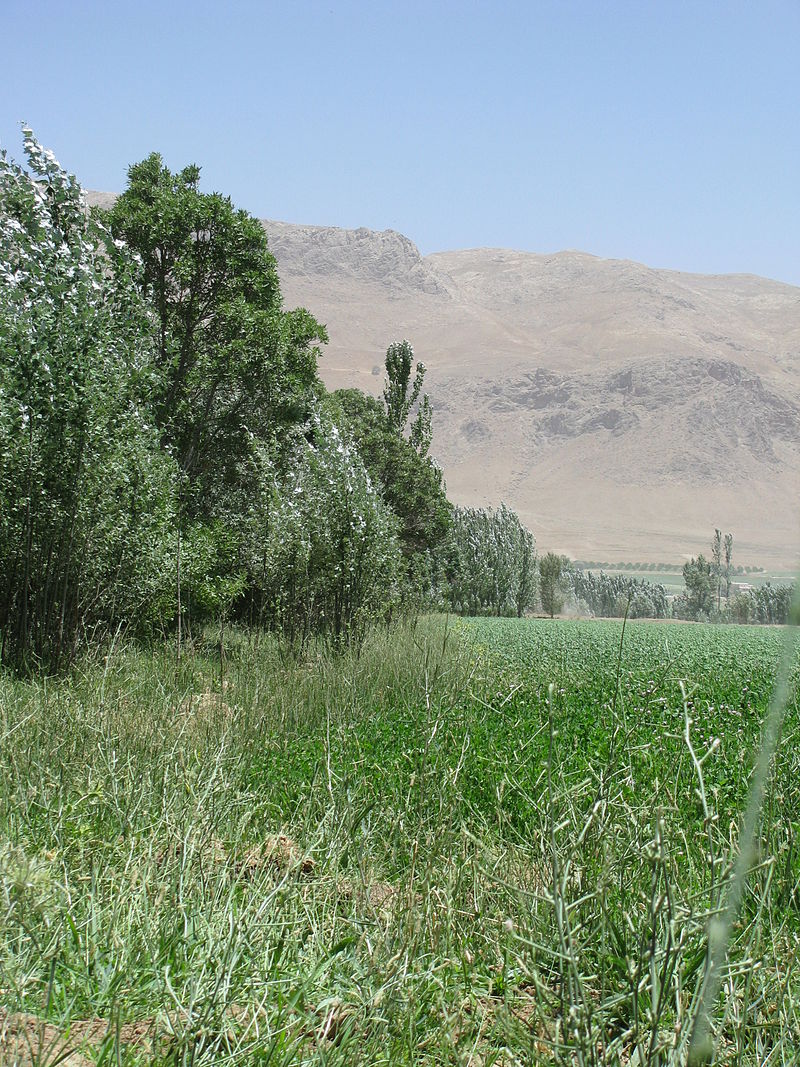 شهر بلداجی