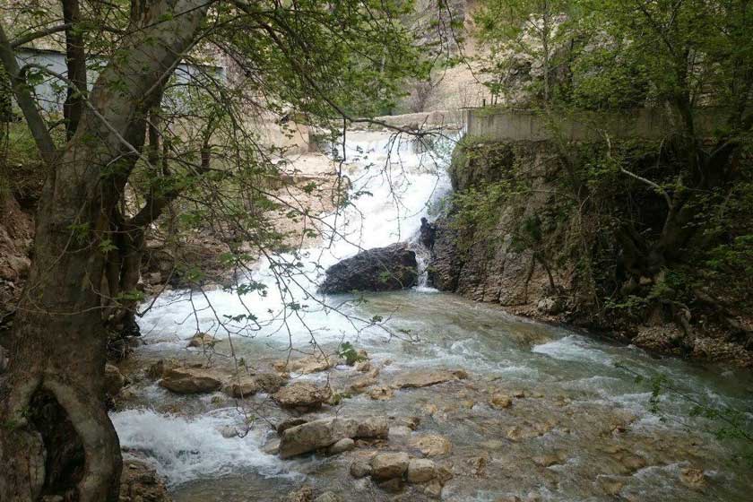پارک جنگلی پروز