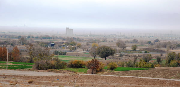 کلاه فرنگی سورمق سورمق کلاه فرنگی سورمق