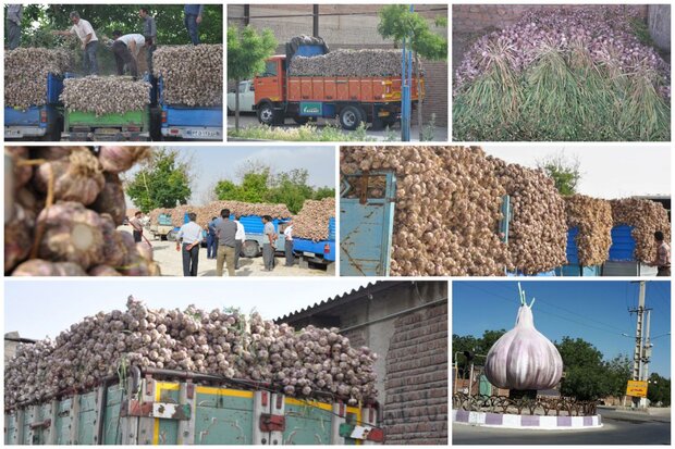جاهای دیدنی شهر تیمورلو جاهای دیدنی شهر تیمورلو