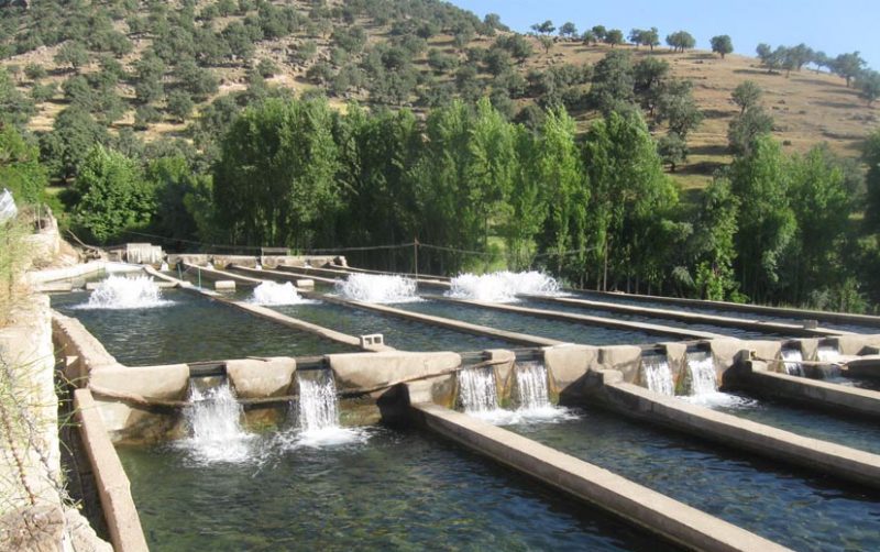 شیمن 4 روستای شیمن 