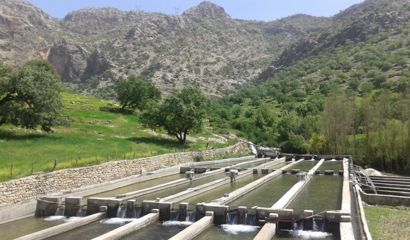 شیمن روستای شیمن 