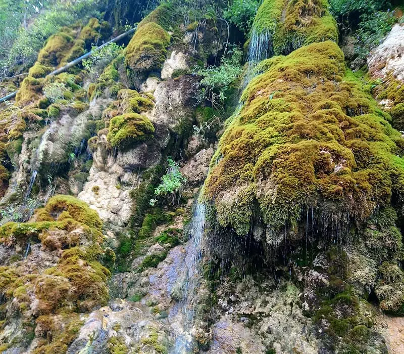 جاهای دیدنی شهر نور جاهای دیدنی شهر نور