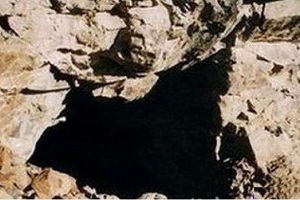 پادر
