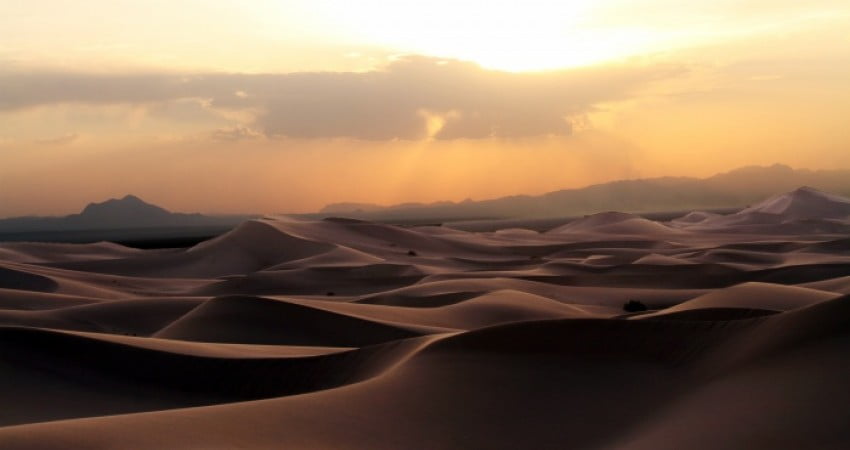 کویر در انجیر کویر در انجیر