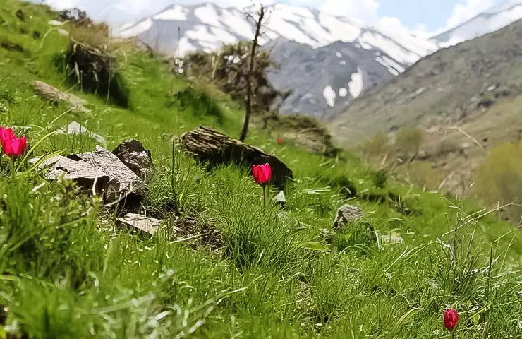 جاهای دیدنی شهر گلپایگان
