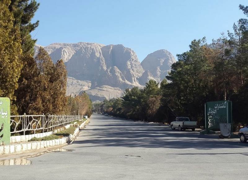 جنگل پردیسان قائم  پردیسان قائم کرمان