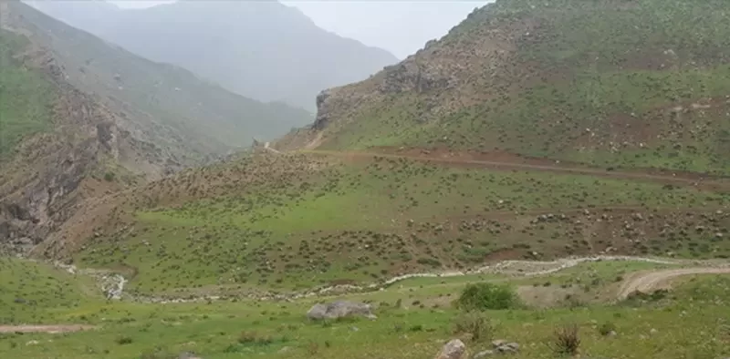 کوه ونیزان
