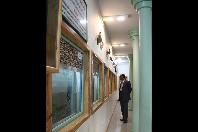 موزه تاریخ طبیعی اردبیل