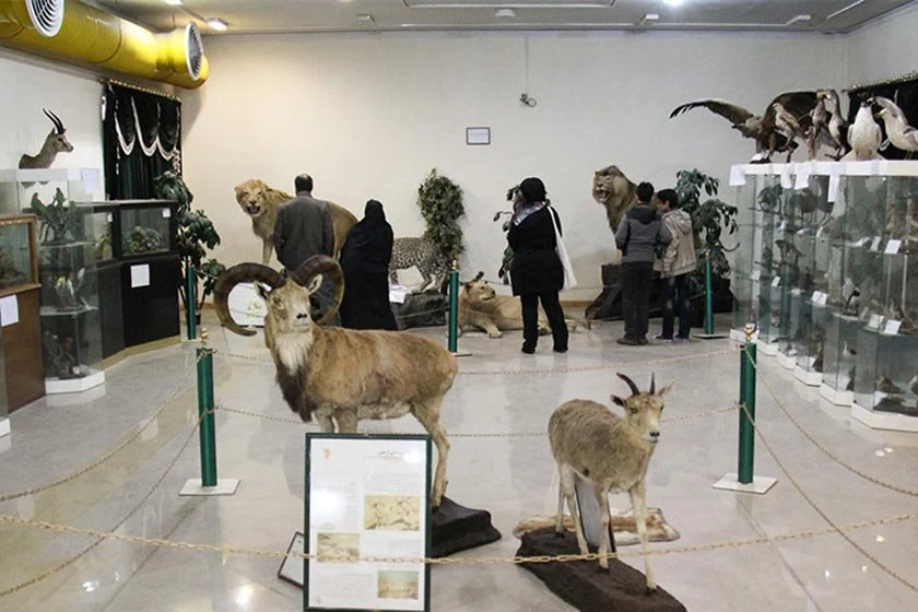 موزه تاریخ طبیعی اردبیل