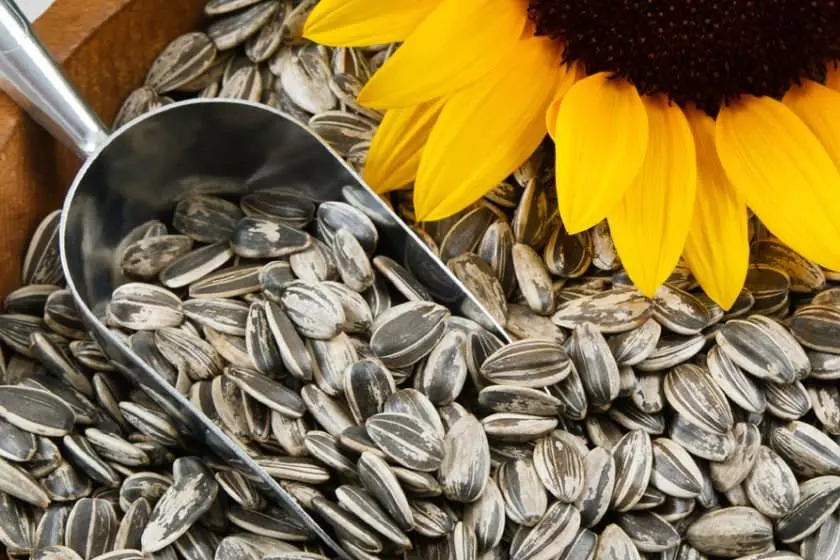 جاهای دیدنی شهر خوی