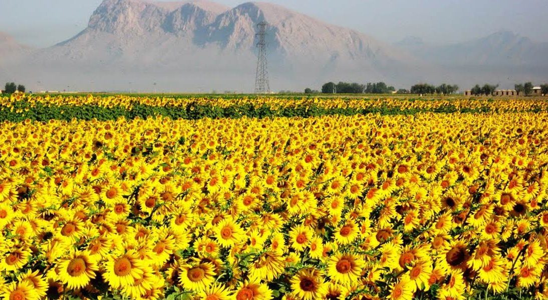 جاهای دیدنی شهر خوی