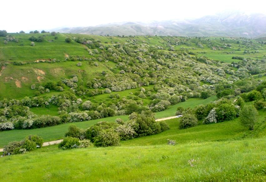 15 منطقه حفاظت شده میرآباد