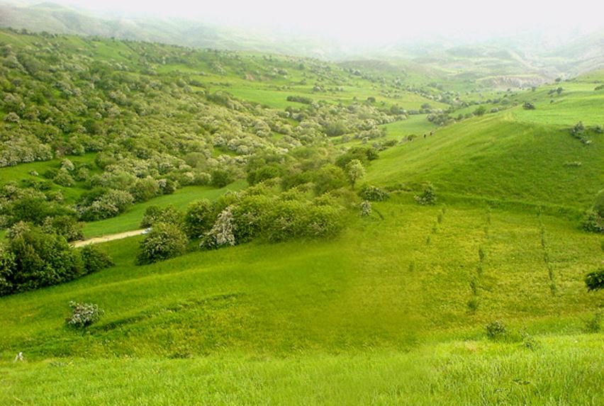 16 منطقه حفاظت شده میرآباد