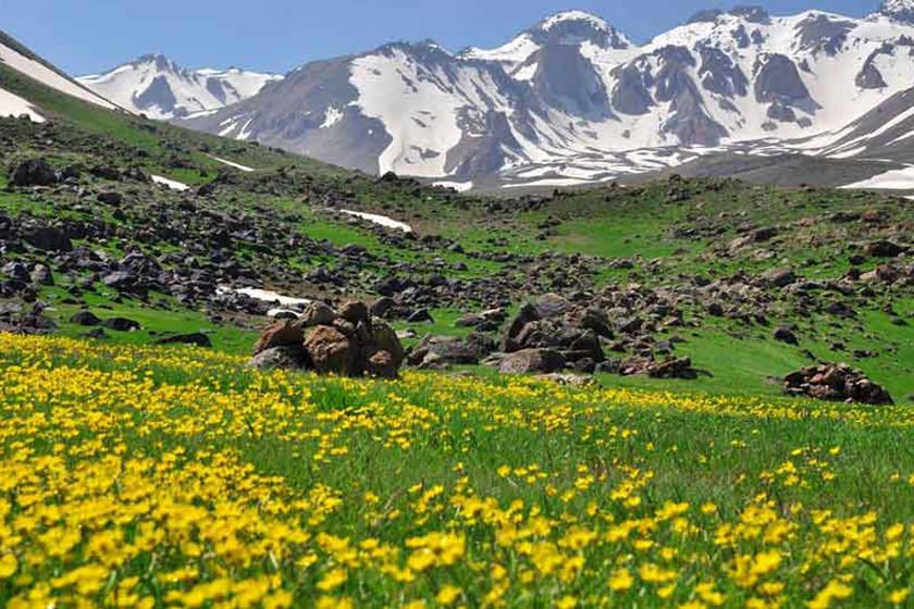 روستای الوارس