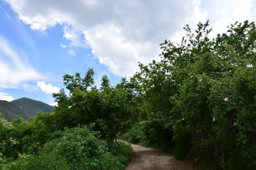 روستای اَویندین