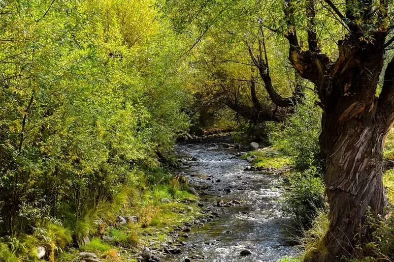 روستای لیقوان