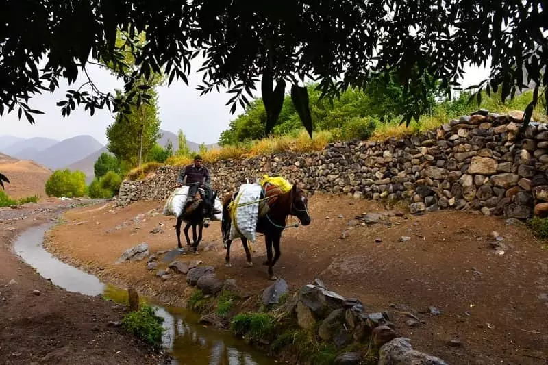 روستای لیقوان