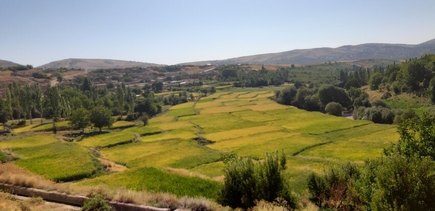 روستای ساران