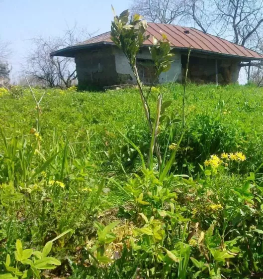 جاهای دیدنی شهر بابلسر جاهای دیدنی شهر بابلسر