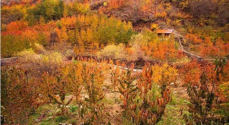 روستای آهار روستای آهار
