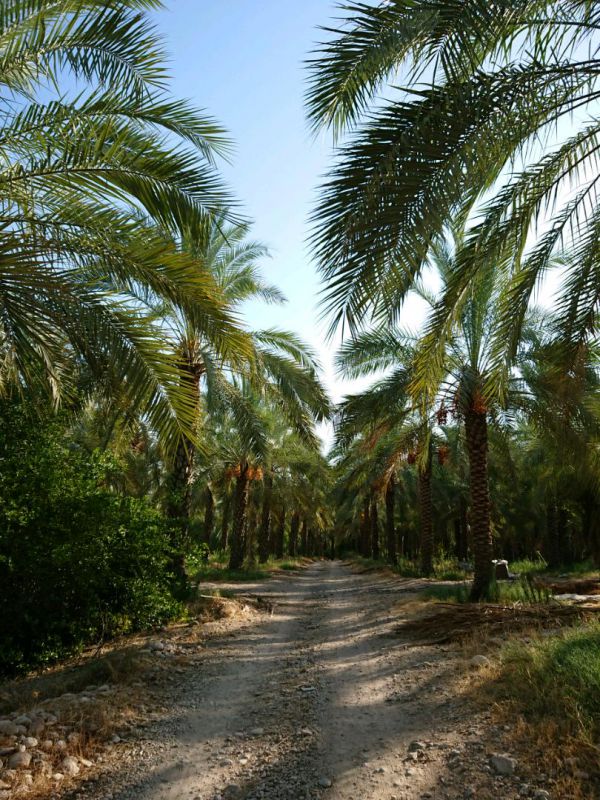 روستای بورکی روستای بورکی