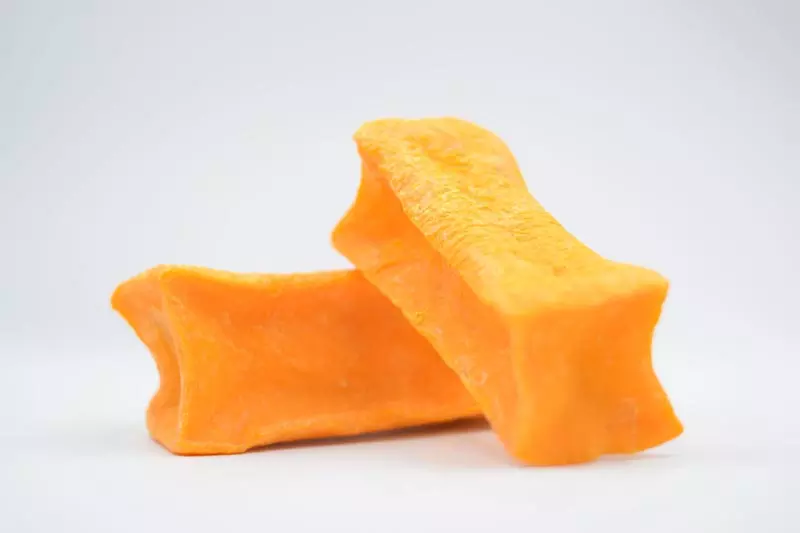 جاهای دیدنی شهر مراغه