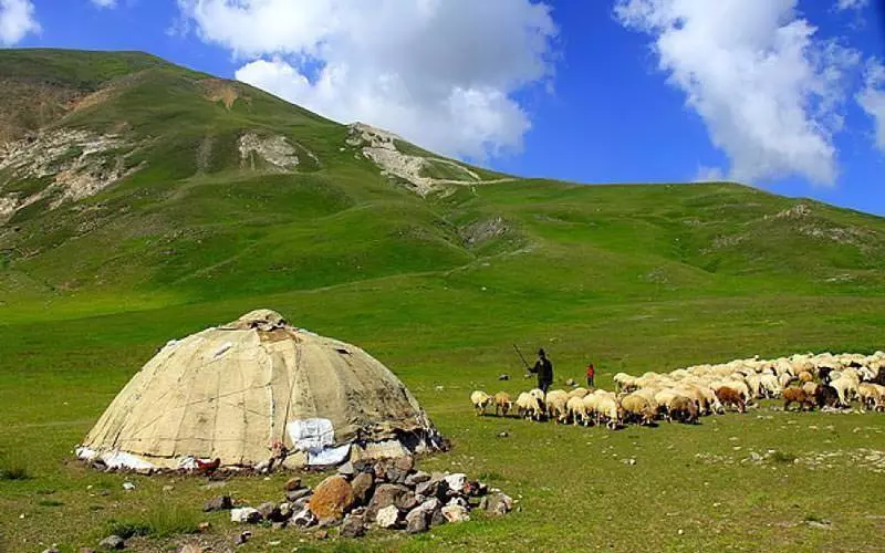 جنگل ارسباران