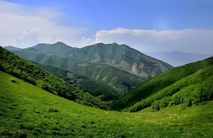 جنگل ارسباران
