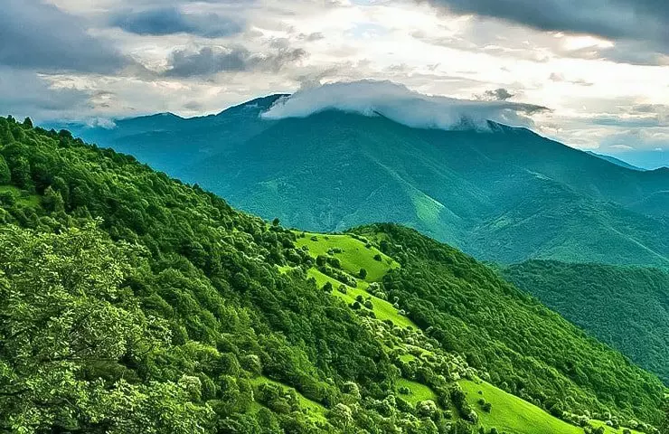 جنگل ارسباران