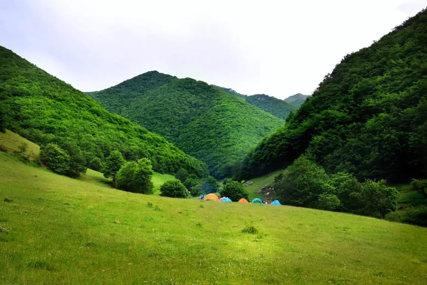 جنگل ارسباران