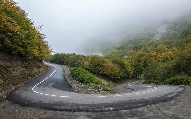 جنگل ارسباران