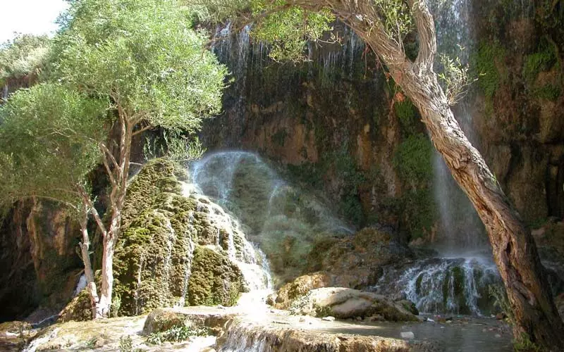جنگل ارسباران