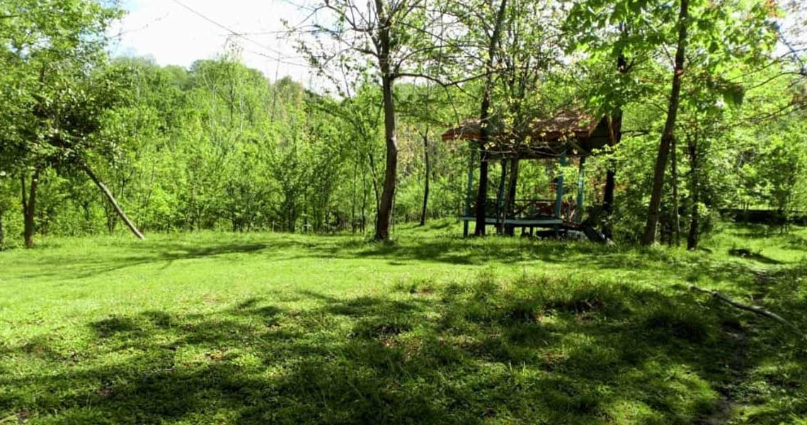 پارک جنگلی صفرا بسته 